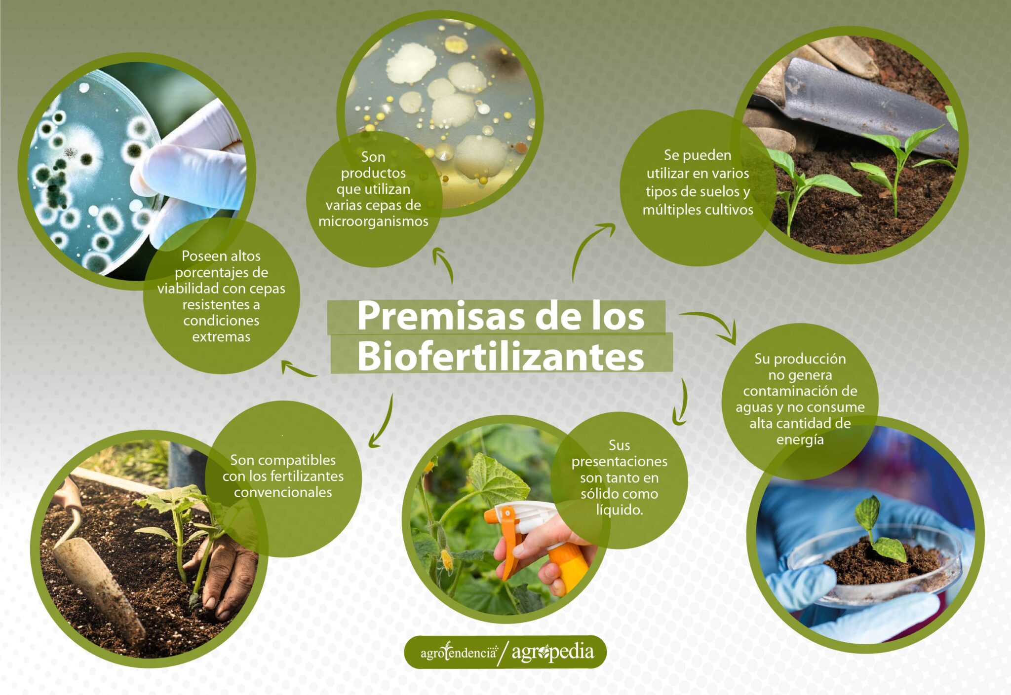 Biofertilizantes Conoce qué son sus tipos y aplicación