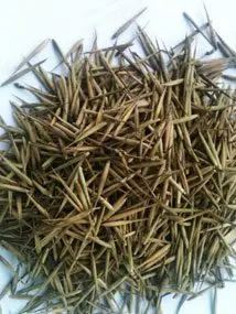 Semillas 