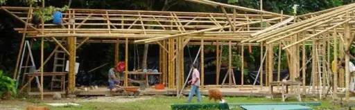 Hombres construyendo casa