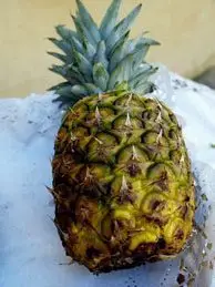 Piña afectada por frío