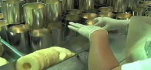 Manejo post cosecha de la piña