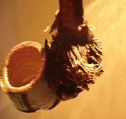 Rizoma de bambú