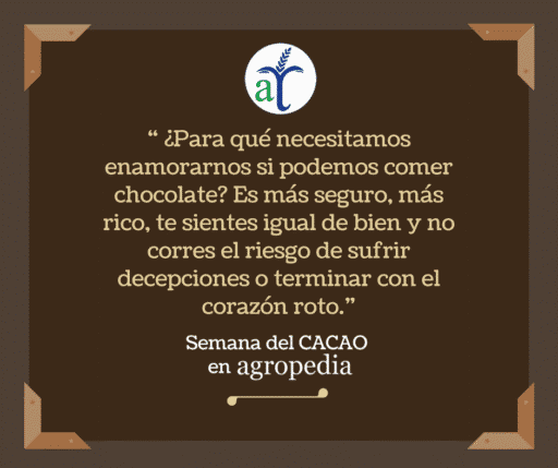 Cultivo de cacao
