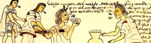 Cultivo de cacao -Origen e historia del cultivo de cacao - Dibujo precolombino de personas bebiendo cacao
