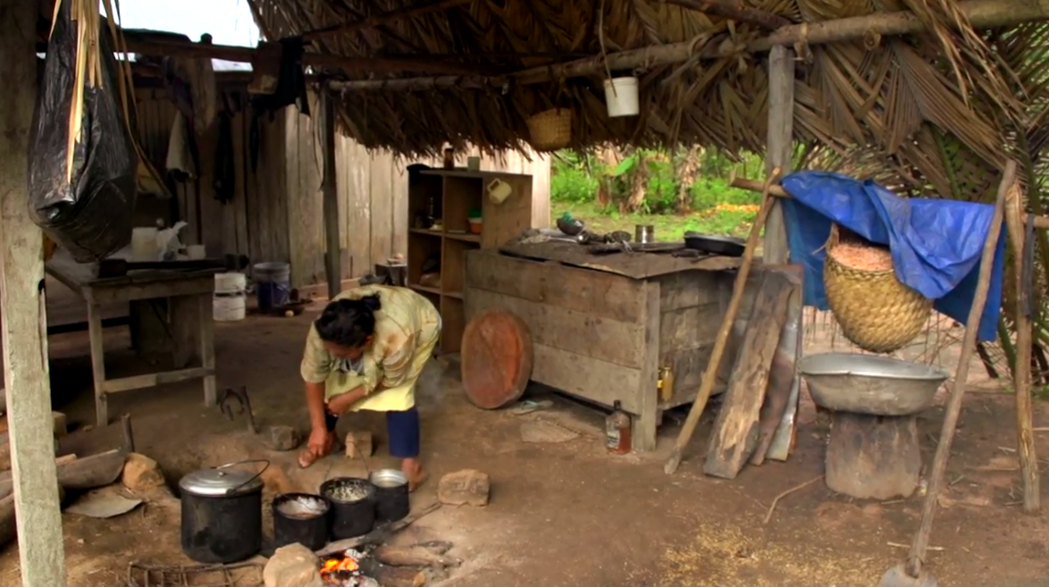 Cultivo de cacao - Fermentación y secado artesanal el grano de cacao