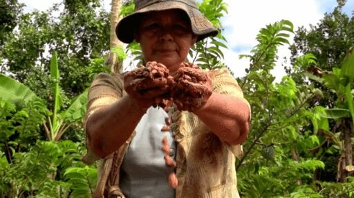 Cultivo de cacao - Mujer con granos de cacao en las manos