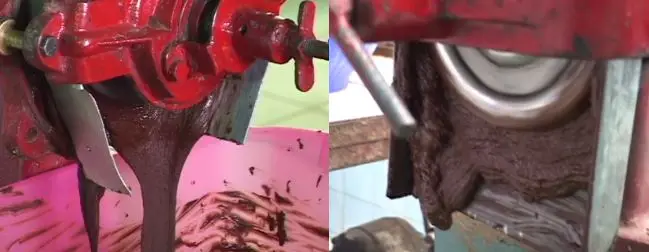 Cultivo de cacao - Proceso semi-industrializado del grano de cacao