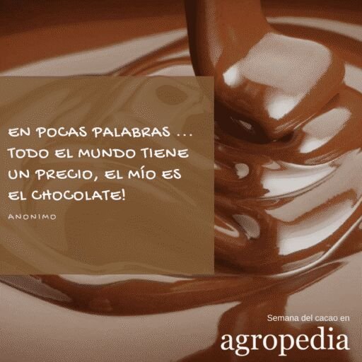 Cultivo de cacao - Chocolate derretido