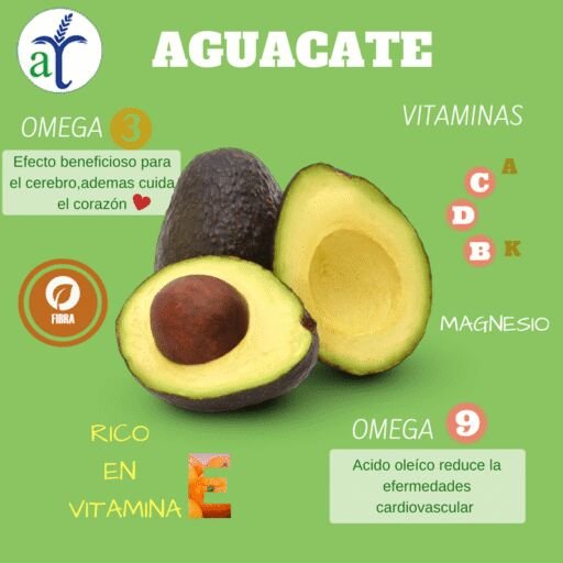 Cultivo de aguacate - Aguacate