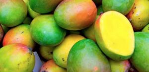 Mangos