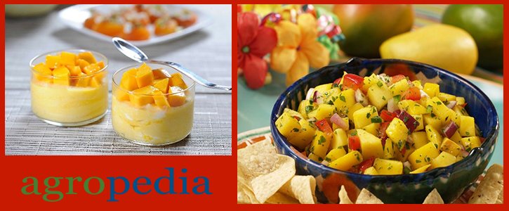 Fotos de dos recetas dulce y salada a base de mango en trozos