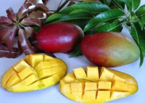 Mangos