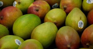 Mangos