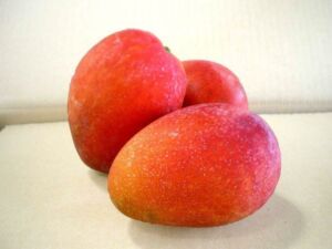 Mangos