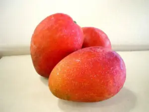 Mangos