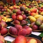 Variedades de mango