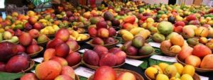 Variedades de mango