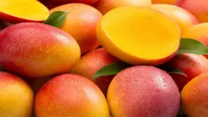 Cultivo de mango