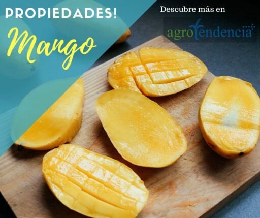 Cultivo de mango - Rebanadas de mango