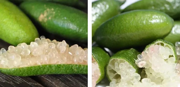 Variedad caviar