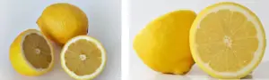 Cultivo de limón
