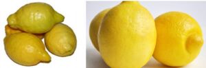 Cultivo de limón