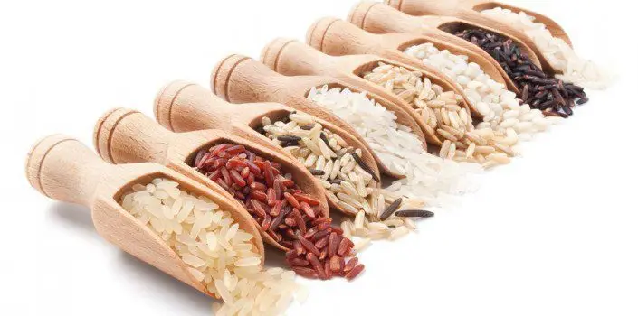 Cultivo de arroz - Variedades comerciales de arroz