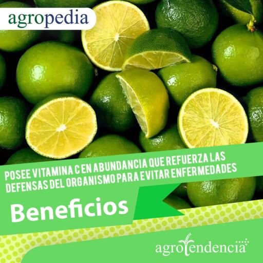 Limones y sus beneficios