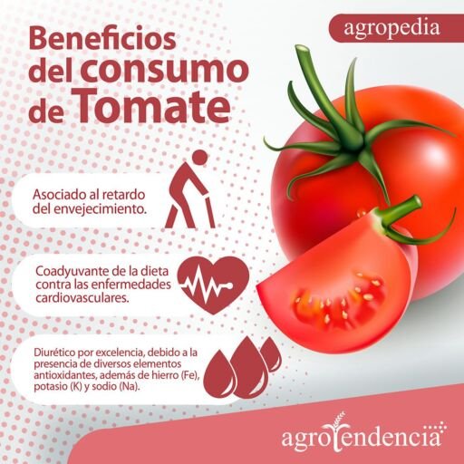 Cultivo de tomate - Beneficios del consumo de tomate