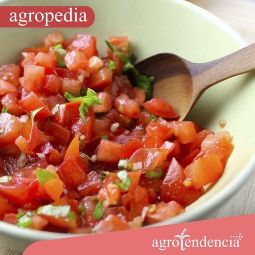 Cultivo de tomate - Picadillo de tomate
