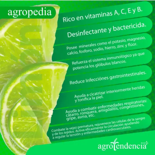 Dos rebanadas de limón con la descripción de las bondades