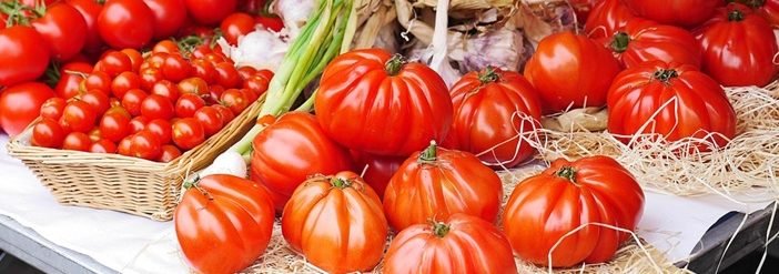 Cultivo de tomate - Variedades de tomates