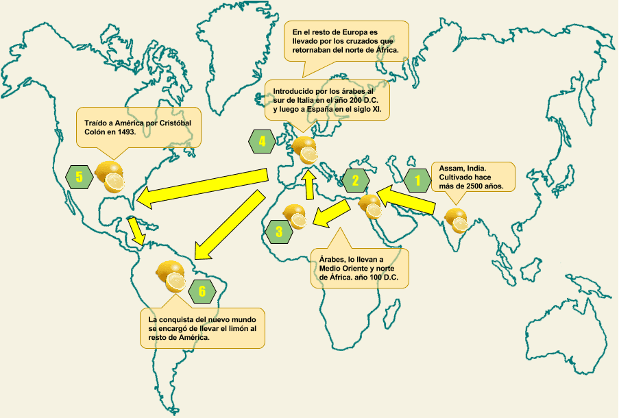 mapa de distribución difusión o expansión del limón en el mundo