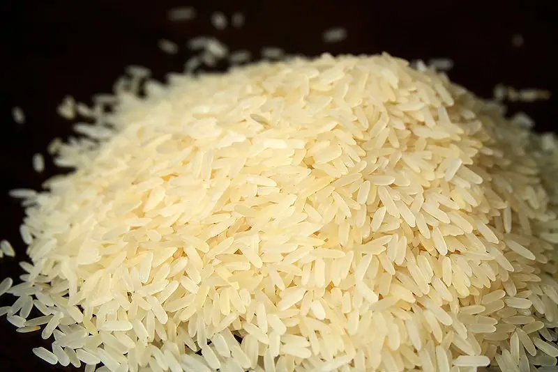 Cultivo de arroz - Arroz precocido