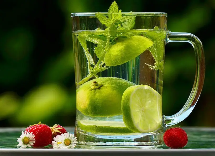 taza con agua, limón y hojas de menta