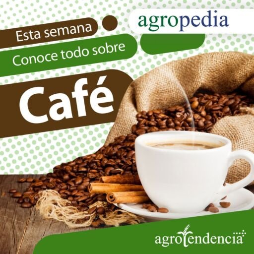 Cultivo de café - taza con café y en el fondo un saco con granos de café