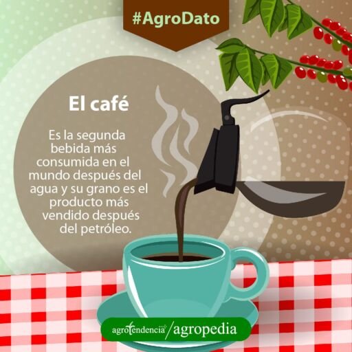 Cultivo de café -Café en una taza