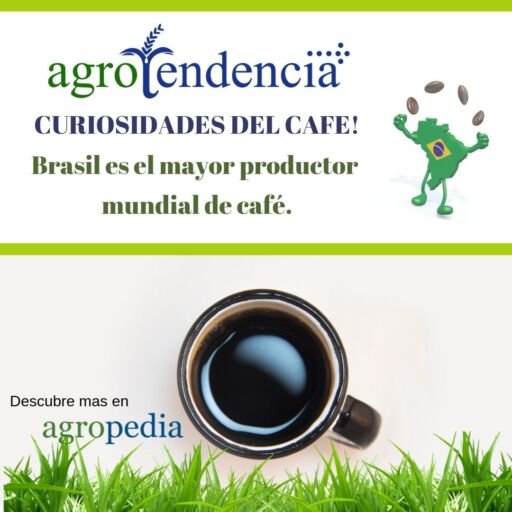 Cultivo de café - Curiosidades del café