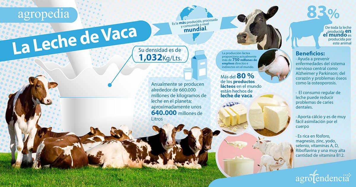 Infografía de la leche de vaca