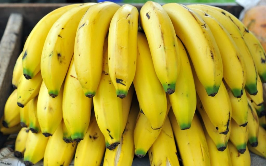 Banano - Racimos de bananas