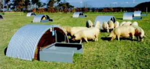Instalaciones para la cría de cerdos a campo
