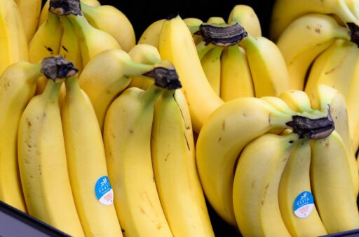 Aprobaron ley para proteger el cultivo del banano y el plátano del hongo fusarium raza 4 tropical