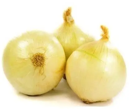 Cultivo de cebolla - Tres cebollas color dorado