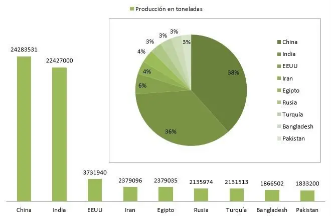 ltivo de cebolla - Grafico en barra y torta de la producción de cebolla en toneladas