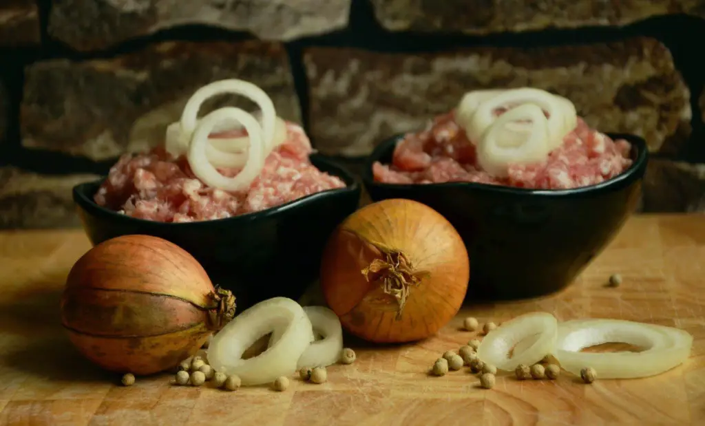 Cultivo de cebolla - Dos platos con carne molida con ruedas de cebolla blanca y con 2 cebollas enteras 