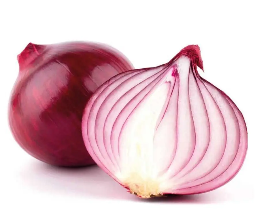 Cultivo de cebolla - Dos cebollas moradas