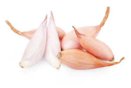 Cultivo de cebolla - Seis cebollas variedad chalote