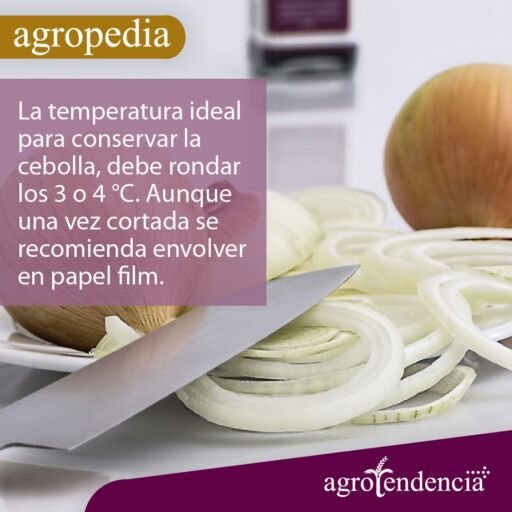 Cultivo de cebolla - Un plato blanco con rebanadas de cebolla blanca