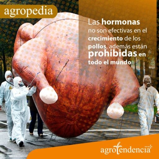Pollos de engorde - Hombres disfrazados con bragas blancas mascaras y tapabocas desfilando con globo en forma de pollo