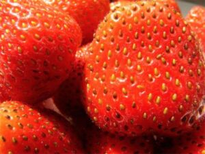 Fresas